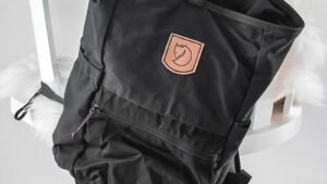 Vestibulum sedarcu nonodio euismod