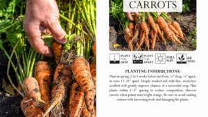 Semillas de zanahorias Patriot Seeds