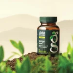 Ginkgo Leaf, Gaia Herbs, 60 Capsules - Image 4