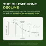 Glutathione Cata-Kor Liposomal – Ultra High Absorption with Resveratrol, Vitamin C, Selenium & Vitamin B2 - Image 5