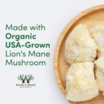 Lion's Mane Mushroom Supplement, Double Wood, 500 mg, 120 Capsules - Image 5