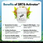 SIRT6 Activator, DoNotAge, Relentless Research. Unmatched Purity. Support DNA Repair and Slow Aging at the Cellular Level - Image 3