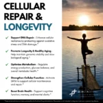 SIRT6 Activator, DoNotAge, Relentless Research. Unmatched Purity. Support DNA Repair and Slow Aging at the Cellular Level - Image 5