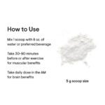 Creatine - 90 services, High-quality creatine for lean muscle mass, endurance, cellular energy, and brain function - Image 4