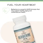 Berberine Supplement, Double Wood, 500 mg, 60 Capsules - Image 4