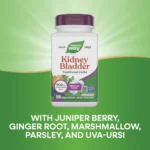 Kidney Bladder Premium Blend, Nature's Way, 63 Capsules, Discover the tradition of this seven-herb blend. - Image 9