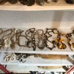 11 COLLARES