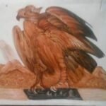 AGUILA CAF UNITONO