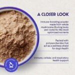 Organic Turkey Tail, Wonder Paws, Powder 1000 mg, 60 services, Dogs of all ages - Image 3