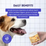 Organic Turkey Tail, Wonder Paws, Powder 1000 mg, 60 services, Dogs of all ages - Image 4