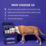 Organic Turkey Tail, Wonder Paws, Powder 1000 mg, 60 services, Dogs of all ages - Image 7