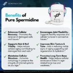 Pure Spermidine Supplement, DoNotAge, High-Purity Spermidine Supporting Your Body’s Natural Cellular Clean-Up and Repair Process - Image 6