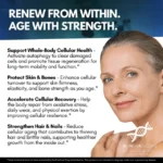 Pure Spermidine Supplement, DoNotAge, High-Purity Spermidine Supporting Your Body’s Natural Cellular Clean-Up and Repair Process - Image 7
