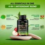 Green Tea Extract, Nutra Harmony, 8000 mg, 120 Capsules - Image 4