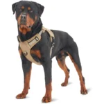 Arnés Táctico para Perros Grandes, Sin Tirones y Indoloro - Chaleco Duradero Estilo Militar con Correas Reflectantes y Asa de Control Segura - Image 2