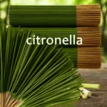 Palitos de hierba de limón que prolongan el tiempo de combustión, fragancia de madera artificial para las cuatro estaciones, adecuadas para el hogar, el camping, el jardín, la piscina y actividades al aire libre: Feng Shui para eliminar la mala energía, purificar el aire, relaja la mente, madera reciclada, la decoración navideña (Halloween/Natal/Natal/PARCOÑO de Acción de Acción de Gracias) - AliExpress 15 - Image 6